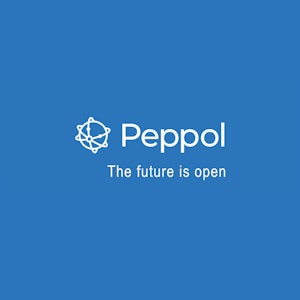 Placeholder for Peppol home